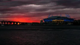 St Petersburg in Chaos as Fierce Squall Winds Hit.webp