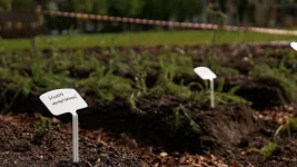 St Petersburg Freaks Over New Apothecary Garden Trend.webp