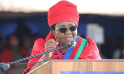 Swapo Freezes New Branches to Dominate Polls.webp