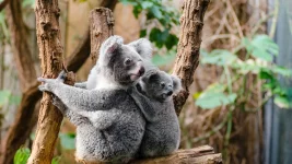 Free Zoo Fun for Under 18s on June One.webp