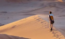 Namibia Tourists Running Scared from Crime Surge.webp