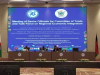 SADC Talks Go Next Level in Zimbabwe Trade Blowout.webp