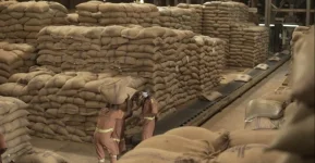 Ugacof Grabs Top Coffee Crown in Fierce Export Battle.webp