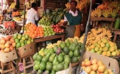 Uganda Fruit Boom Set to Flood Global Markets.webp