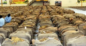 Zim Tobacco Cash Craze Scores 381M Export Haul.webp