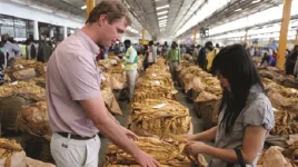 Zim Tobacco Gold Rush Nets $381M.webp