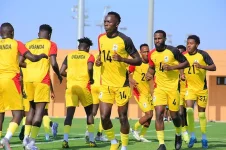 Cranes Show Fire in Marrakech Eyes on Cameroon Gambia.webp