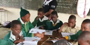 Zim Teacher Exodus Leaves Schools on Brink.webp