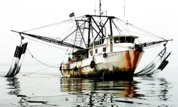 Angola Border Pirates Hijack Namibia's Fish Haul.webp