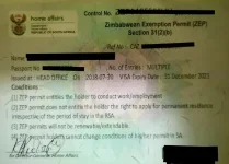 SA Judges Slap Down Home Affairs Over ZEPs.webp