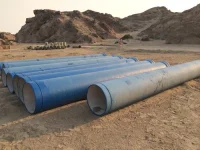 Villages Left High and Dry by 48-hour Water Cut.webp