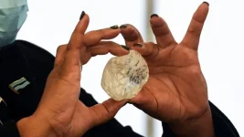 Diamond Drought Botswana Mines Go Dark.webp