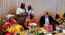 Ghana Chief Takes German Parliament by Storm.webp