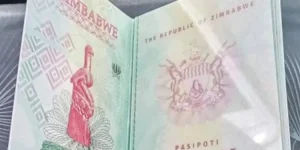 Zim Expats Storm UK Passport Centre.webp