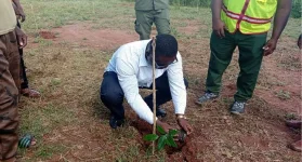 Offinso North Kids Go Green with One Child One Tree.webp