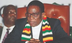 Zimbabwe war vets gear up to flip poverty upside down.webp