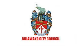 Bulawayo Fleet Fiasco Costs Millions.webp