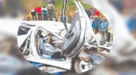 Crash Cash Fund Has Zimbabwe Buzzing.webp