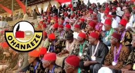 Ohanaeze Youths Blast Enugu Police Over Herdsmen Bias.webp