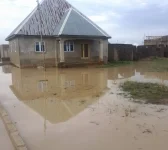 Bachure Drowning as Rain Turns Streets to Rivers.webp
