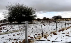 Frost Rampage Leaves Livestock Shivering in Namibia.webp
