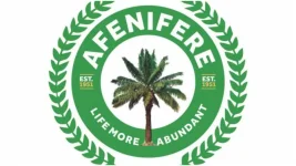 Afenifere Warns Nigeria Democracy Hanging by Thread.webp