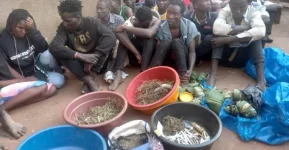 Kampala Cops Nab 99 in Massive Drug Sting.webp