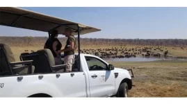 Tourism Bill Throws Industry Into Turmoil.webp