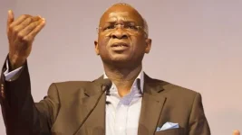 Fashola Rips 1993 Coup That Stole Abiola Win.webp