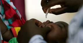Kano on Warpath to Crush New Polio Threat.webp
