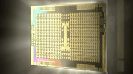 AMD Drops Wild Leak on Next Gen GPU.webp