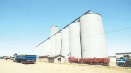 Farmers Furious as Buyers Rip Off Grain.webp