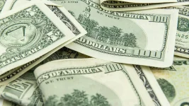 Rubles Reign as 60 Percent Stick to Home Cash.webp