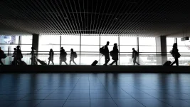 Flydubai Chaos Strands St Pete Tourists in Dubai.webp