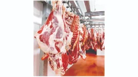 Feed Costs Skyrocket Beef Farmers Reeling in Zimbabwe.webp
