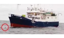 Namibia Fishing Video Shows Dad Hurled Overboard.webp