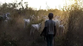 Benue Bloodbath Leaves 45 Dead in Brutal Night Raid.webp