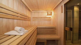Bathhouse Boom Sends St Petersburg Bills Soaring.webp