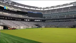 Blockbuster Opener Sees Palmeiras vs Porto Face Off.webp