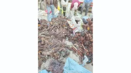 Copper Cable Crooks Nabbed After Wild Chase.webp