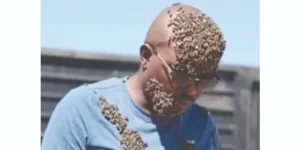 Fake Bee Sangoma Rips Off Desperate Clients.webp