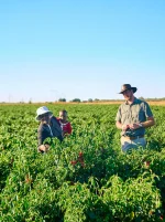 Former foes team up to revive Zimbabwe farm fortunes.webp