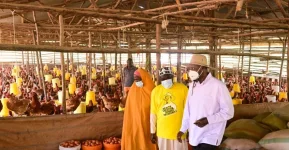 Museveni Hails Farmer Raking In Millions On 4 Acres.webp
