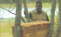 Zimbabwe Farm Whiz Turns Barren Land Into Wild Oasis.webp