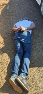 Massive Limpopo Dagga Bust Nets R1.3m Haul.webp