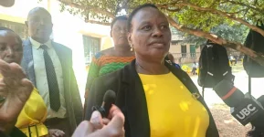 Sheema MP Fights Back Over Arts Teacher Pay Snub.webp