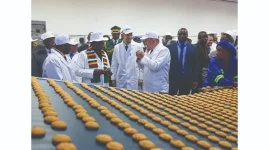 NatFoods Plants Slash Pasta And Biscuit Imports.webp
