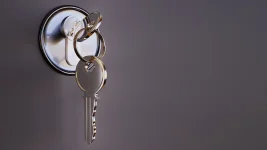 Leningrad Region Flats Under 5M Rubles Are Almost Gone.webp