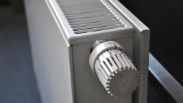 Sneaky Robots Slither Inside Pipes to Shield Homes from Winter.webp