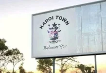 Karoi Council Paid for Harnesses But Received Only Paper.webp